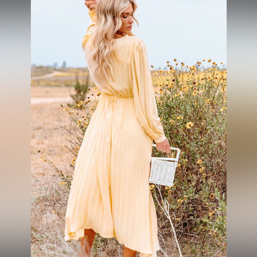 Vici Pleated Midi Dress